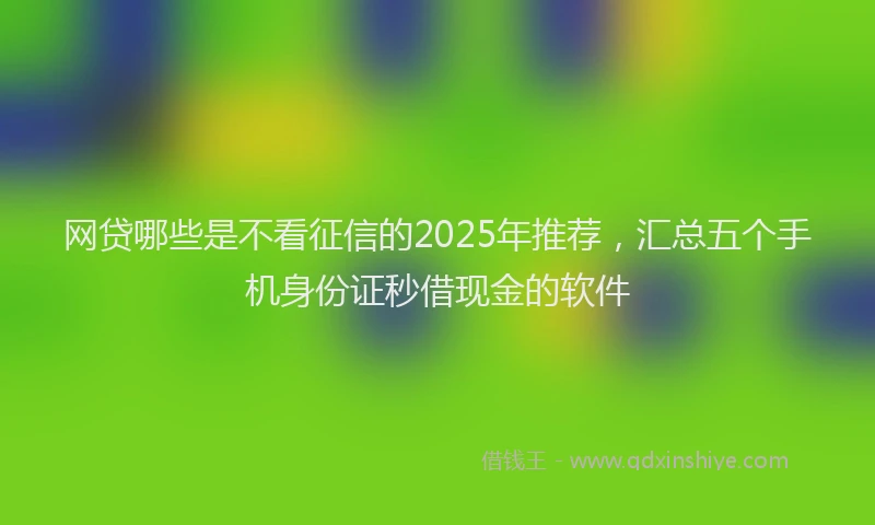 网贷哪些是不看征信的2025年推荐，汇总五个手机身份证秒借现金的软件