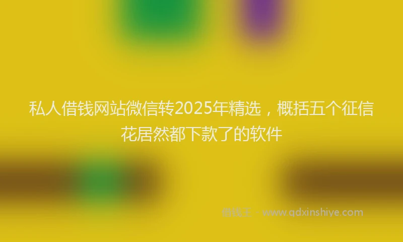 私人借钱网站微信转2025年精选，概括五个征信花居然都下款了的软件