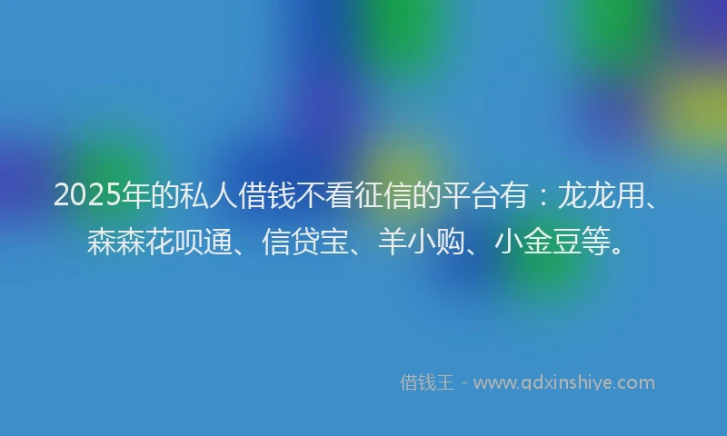 2025年的私人借钱不看征信的平台有：龙龙用、森森花呗通、信贷宝、羊小购、小金豆等。
