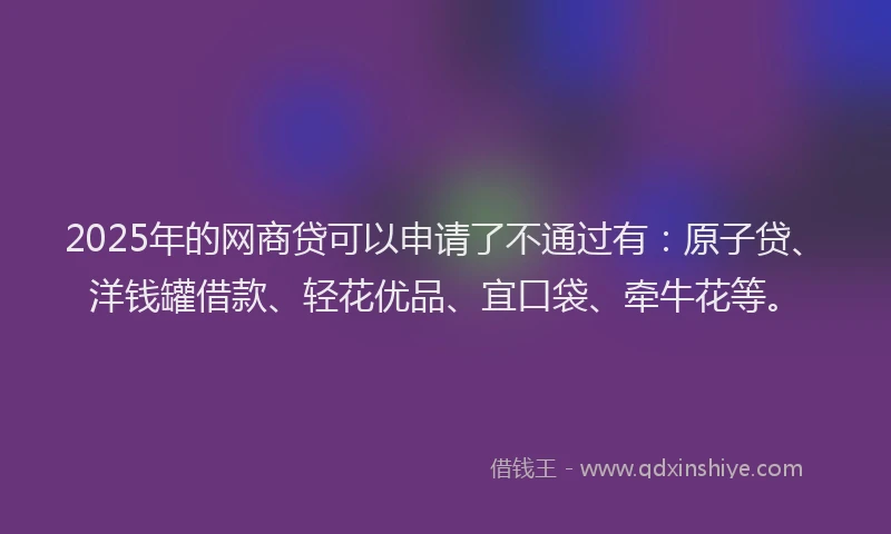 2025年的网商贷可以申请了不通过有：原子贷、洋钱罐借款、轻花优品、宜口袋、牵牛花等。