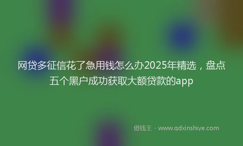 网贷多征信花了急用钱怎么办2025年精选，盘点五个黑户成功获取大额贷款的app
