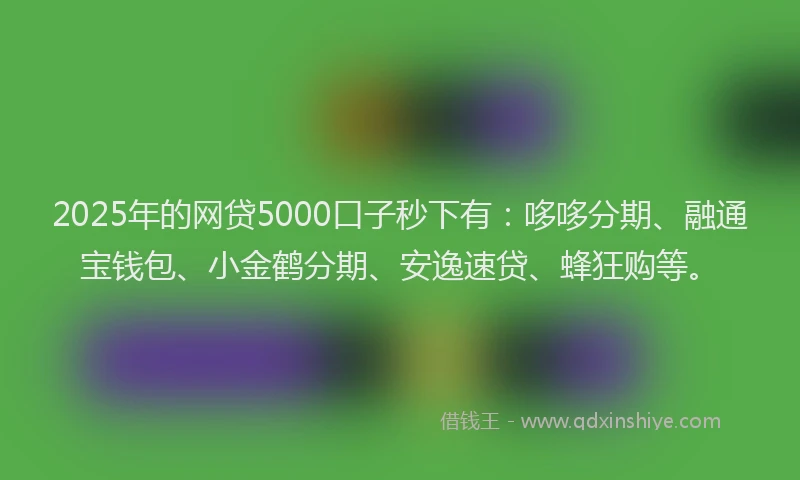 2025年的网贷5000口子秒下有：哆哆分期、融通宝钱包、小金鹤分期、安逸速贷、蜂狂购等。