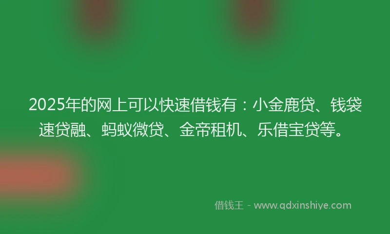 2025年的网上可以快速借钱有：小金鹿贷、钱袋速贷融、蚂蚁微贷、金帝租机、乐借宝贷等。