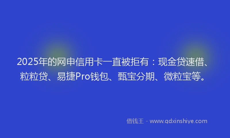 2025年的网申信用卡一直被拒有：现金贷速借、粒粒贷、易捷Pro钱包、甄宝分期、微粒宝等。