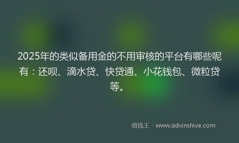 2025年的类似备用金的不用审核的平台有哪些呢有：还呗、滴水贷、快贷通、小花钱包、微粒贷等。