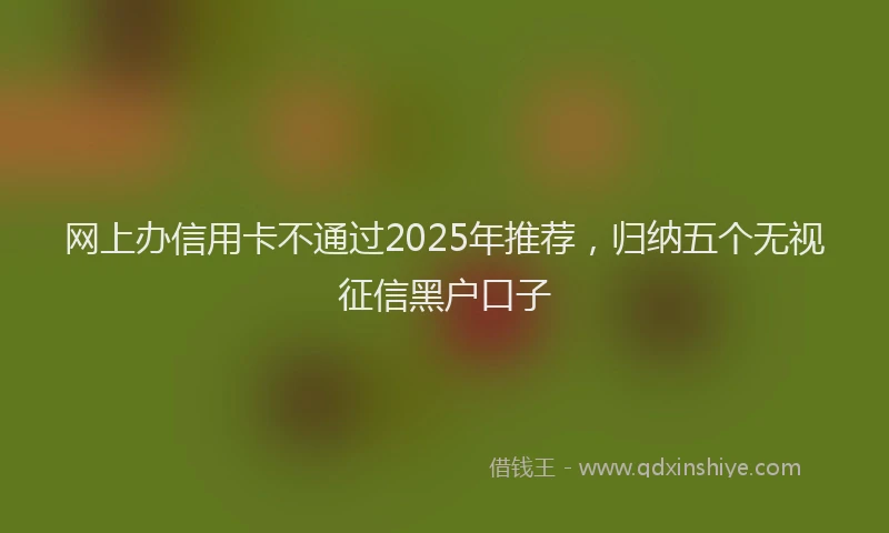 网上办信用卡不通过2025年推荐，归纳五个无视征信黑户口子