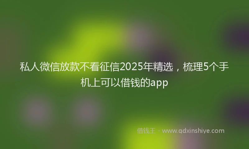 私人微信放款不看征信2025年精选，梳理5个手机上可以借钱的app