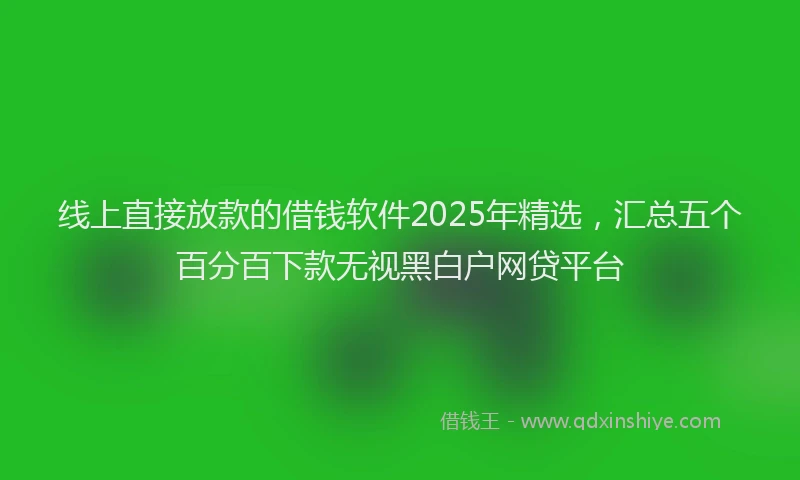 线上直接放款的借钱软件2025年精选，汇总五个百分百下款无视黑白户网贷平台