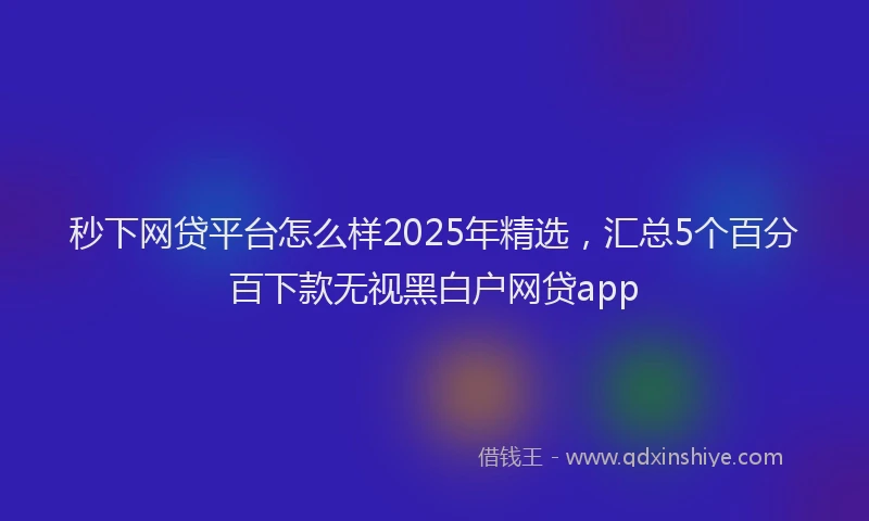 秒下网贷平台怎么样2025年精选，汇总5个百分百下款无视黑白户网贷app