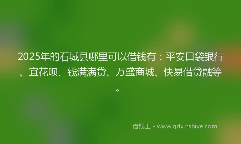 2025年的石城县哪里可以借钱有：平安口袋银行、宜花呗、钱满满贷、万盛商城、快易借贷融等。