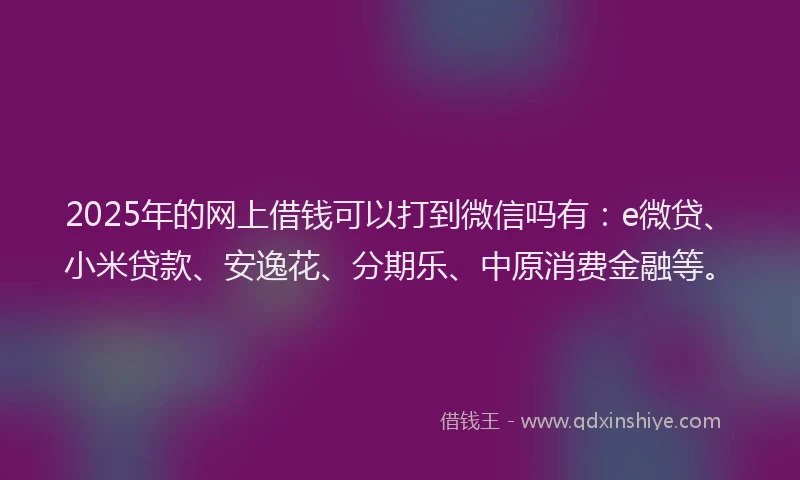 2025年的网上借钱可以打到微信吗有：e微贷、小米贷款、安逸花、分期乐、中原消费金融等。