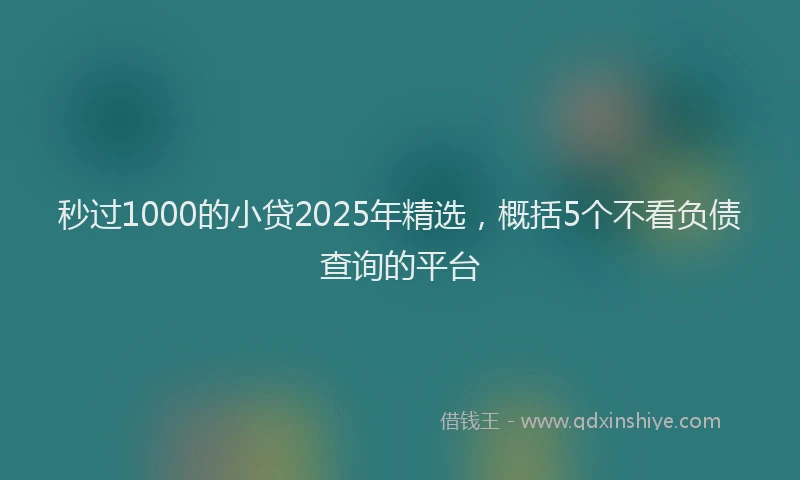 秒过1000的小贷2025年精选，概括5个不看负债查询的平台