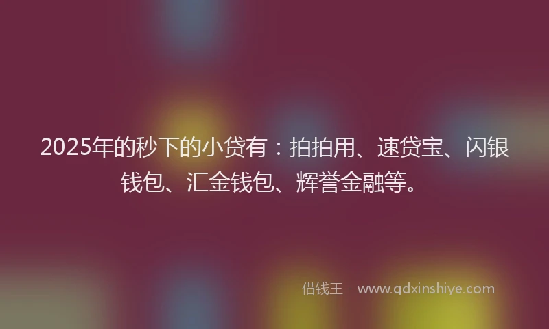 2025年的秒下的小贷有：拍拍用、速贷宝、闪银钱包、汇金钱包、辉誉金融等。