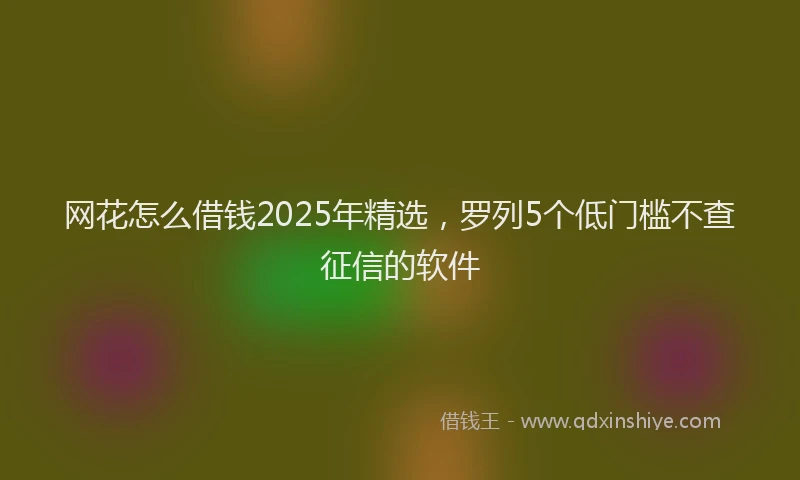网花怎么借钱2025年精选，罗列5个低门槛不查征信的软件