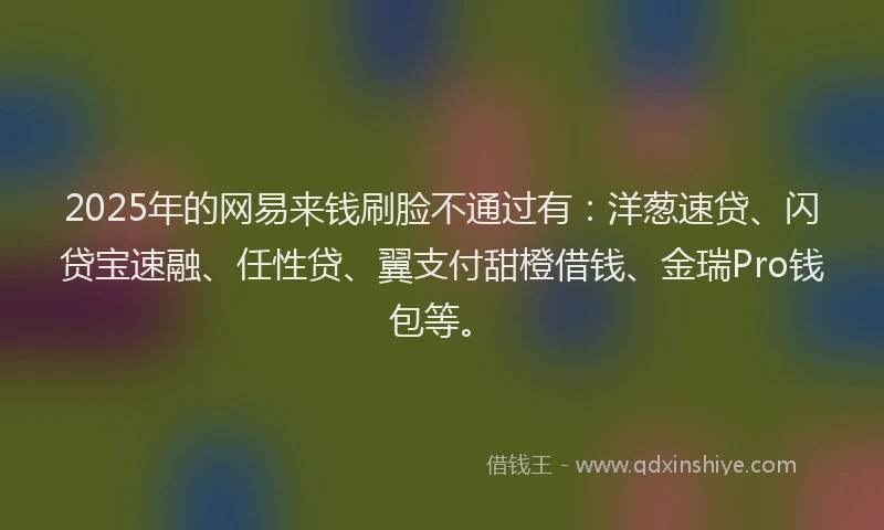2025年的网易来钱刷脸不通过有：洋葱速贷、闪贷宝速融、任性贷、翼支付甜橙借钱、金瑞Pro钱包等。
