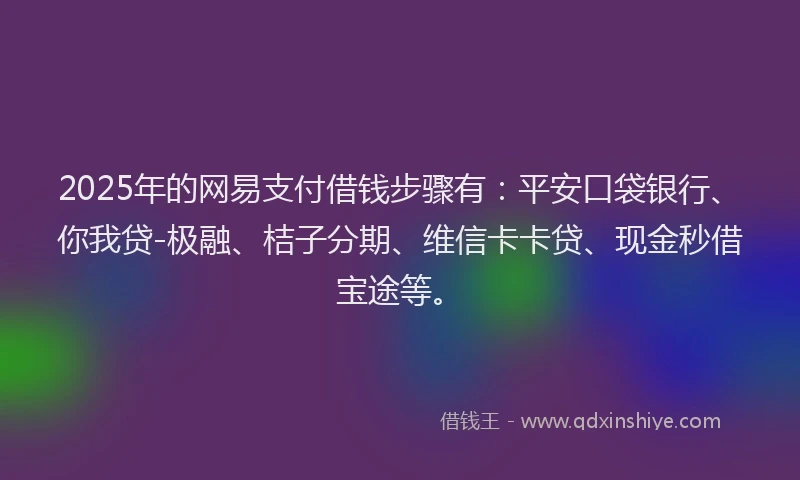 2025年的网易支付借钱步骤有：平安口袋银行、你我贷-极融、桔子分期、维信卡卡贷、现金秒借宝途等。