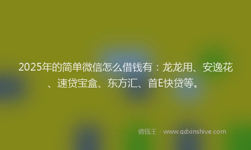 2025年的简单微信怎么借钱有：龙龙用、安逸花、速贷宝盒、东方汇、首E快贷等。