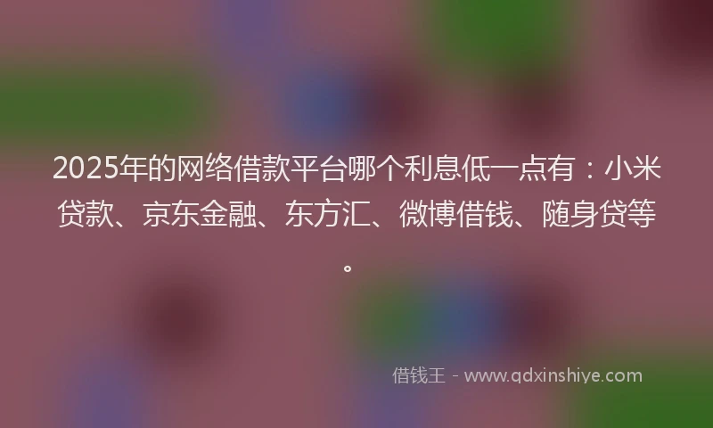 2025年的网络借款平台哪个利息低一点有：小米贷款、京东金融、东方汇、微博借钱、随身贷等。