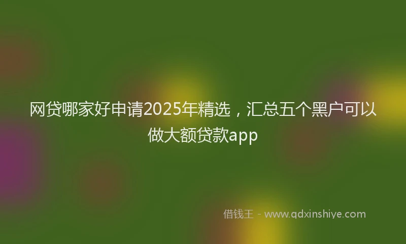 网贷哪家好申请2025年精选，汇总五个黑户可以做大额贷款app