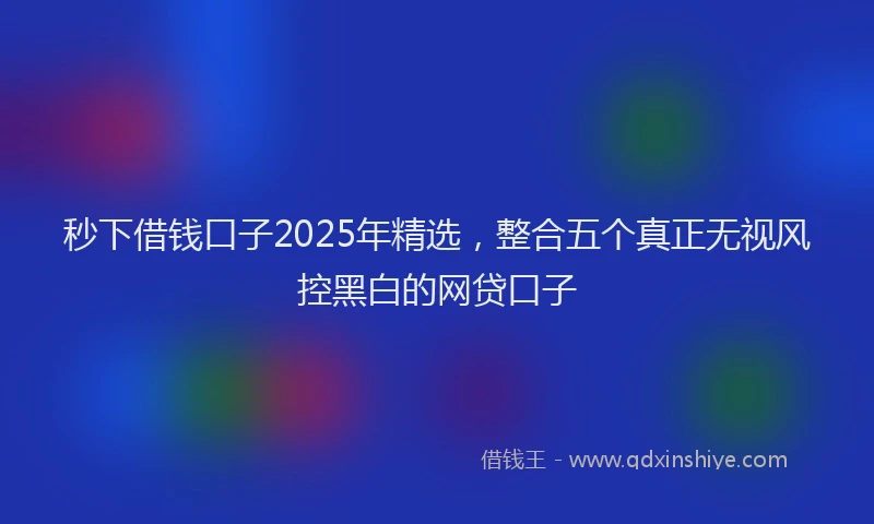 秒下借钱口子2025年精选，整合五个真正无视风控黑白的网贷口子