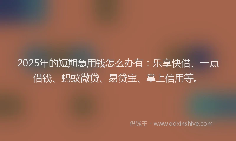 2025年的短期急用钱怎么办有：乐享快借、一点借钱、蚂蚁微贷、易贷宝、掌上信用等。