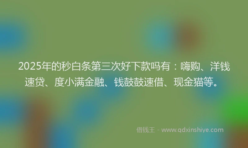 2025年的秒白条第三次好下款吗有：嗨购、洋钱速贷、度小满金融、钱鼓鼓速借、现金猫等。