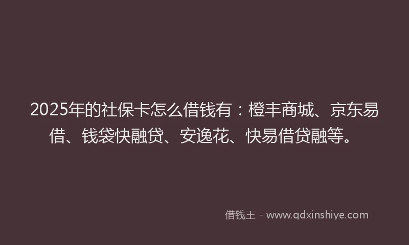 2025年的社保卡怎么借钱有：橙丰商城、京东易借、钱袋快融贷、安逸花、快易借贷融等。