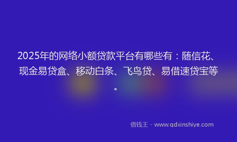 2025年的网络小额贷款平台有哪些有：随信花、现金易贷盒、移动白条、飞鸟贷、易借速贷宝等。