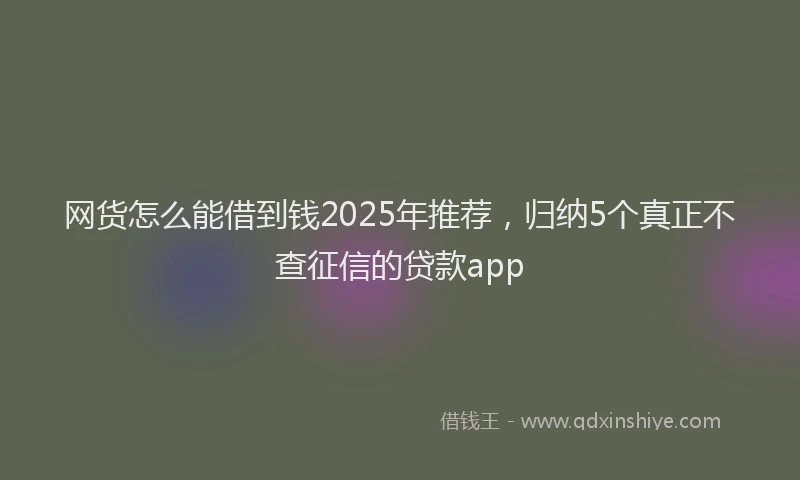 网货怎么能借到钱2025年推荐，归纳5个真正不查征信的贷款app
