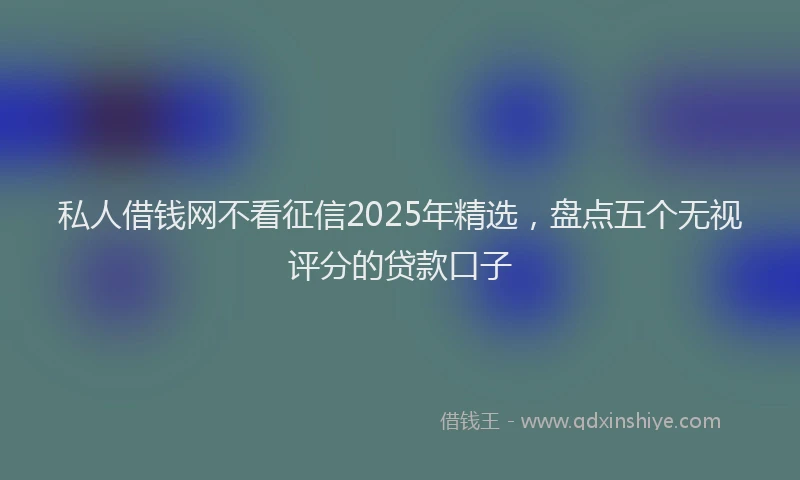 私人借钱网不看征信2025年精选，盘点五个无视评分的贷款口子