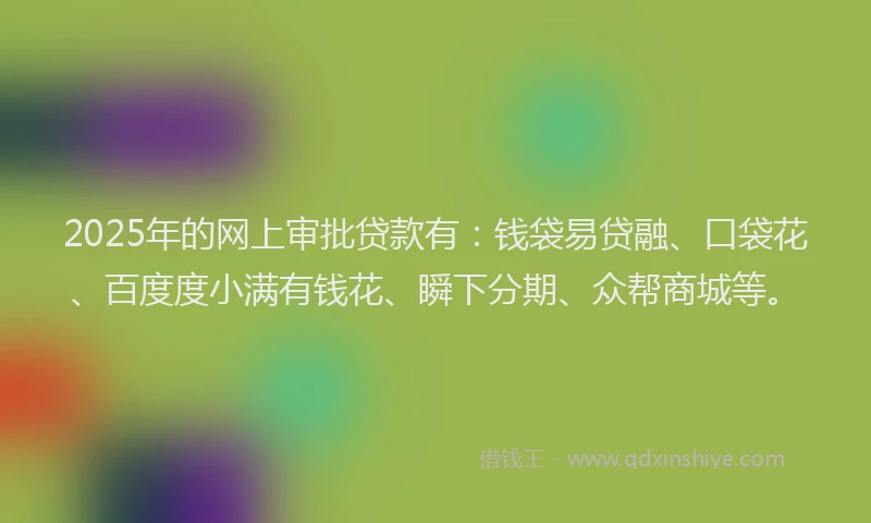 2025年的网上审批贷款有：钱袋易贷融、口袋花、百度度小满有钱花、瞬下分期、众帮商城等。
