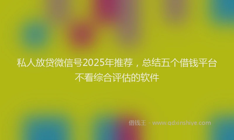 私人放贷微信号2025年推荐，总结五个借钱平台不看综合评估的软件