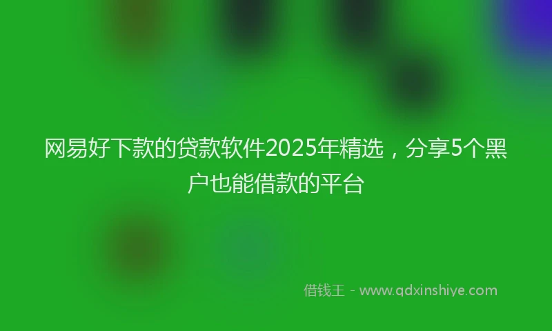 网易好下款的贷款软件2025年精选，分享5个黑户也能借款的平台
