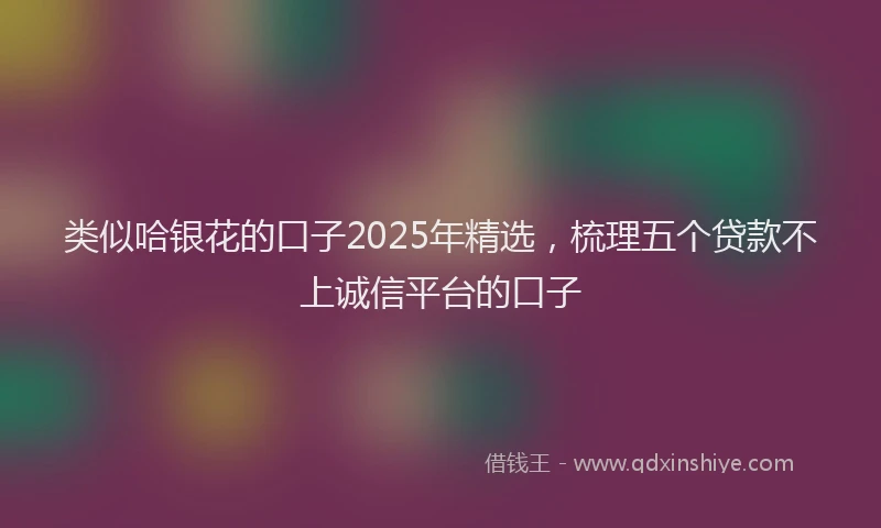 类似哈银花的口子2025年精选，梳理五个贷款不上诚信平台的口子