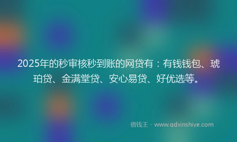 2025年的秒审核秒到账的网贷有：有钱钱包、琥珀贷、金满堂贷、安心易贷、好优选等。