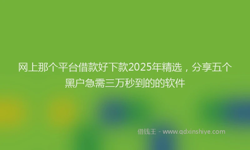 网上那个平台借款好下款2025年精选，分享五个黑户急需三万秒到的的软件