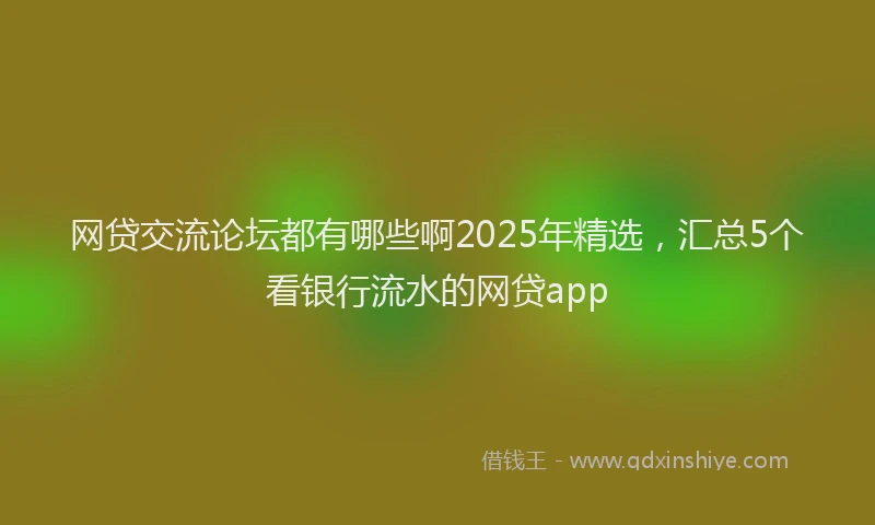 网贷交流论坛都有哪些啊2025年精选，汇总5个看银行流水的网贷app