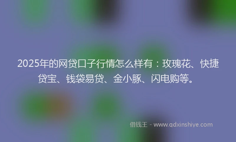 2025年的网贷口子行情怎么样有：玫瑰花、快捷贷宝、钱袋易贷、金小豚、闪电购等。