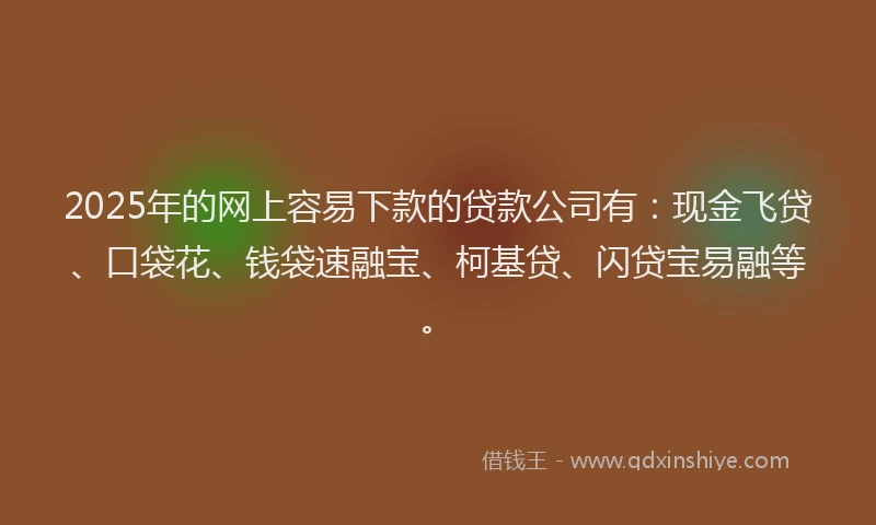 2025年的网上容易下款的贷款公司有：现金飞贷、口袋花、钱袋速融宝、柯基贷、闪贷宝易融等。