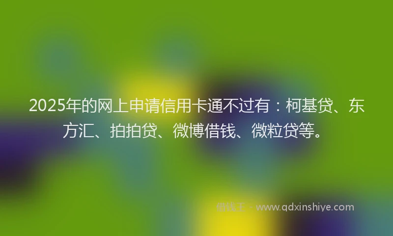 2025年的网上申请信用卡通不过有：柯基贷、东方汇、拍拍贷、微博借钱、微粒贷等。