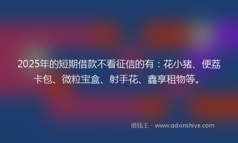 2025年的短期借款不看征信的有：花小猪、便荔卡包、微粒宝盒、射手花、鑫享租物等。