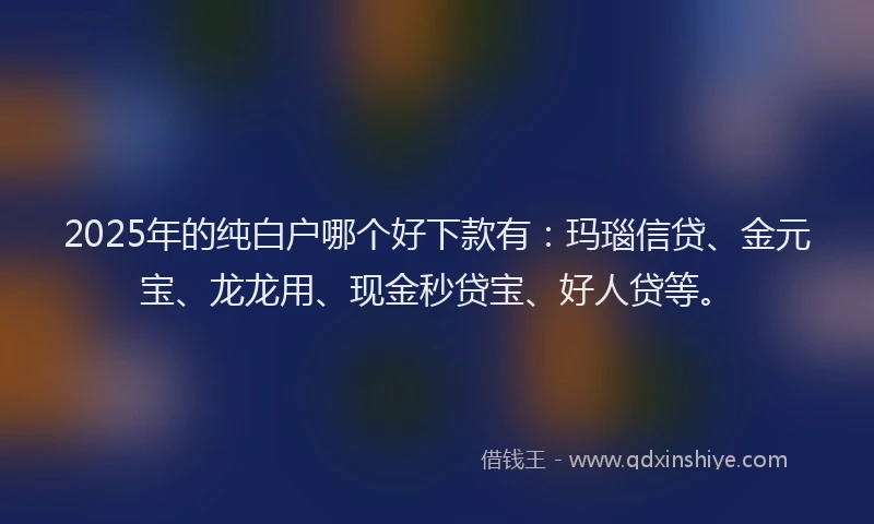 2025年的纯白户哪个好下款有：玛瑙信贷、金元宝、龙龙用、现金秒贷宝、好人贷等。