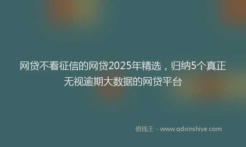 网贷不看征信的网贷2025年精选，归纳5个真正无视逾期大数据的网贷平台