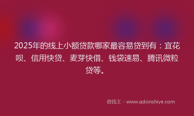 2025年的线上小额贷款哪家最容易贷到有：宜花呗、信用快贷、麦芽快借、钱袋速易、腾讯微粒贷等。