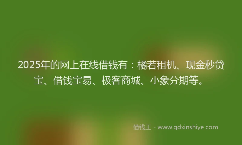 2025年的网上在线借钱有：橘若租机、现金秒贷宝、借钱宝易、极客商城、小象分期等。