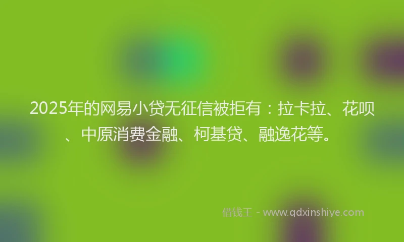 2025年的网易小贷无征信被拒有：拉卡拉、花呗、中原消费金融、柯基贷、融逸花等。