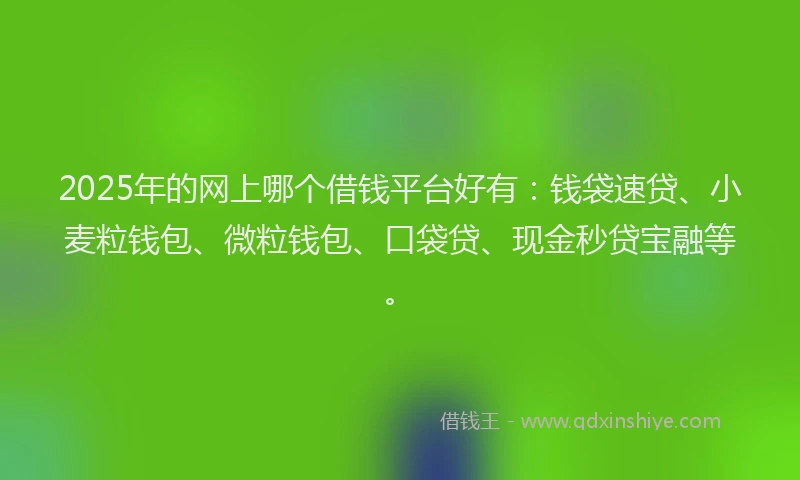2025年的网上哪个借钱平台好有：钱袋速贷、小麦粒钱包、微粒钱包、口袋贷、现金秒贷宝融等。