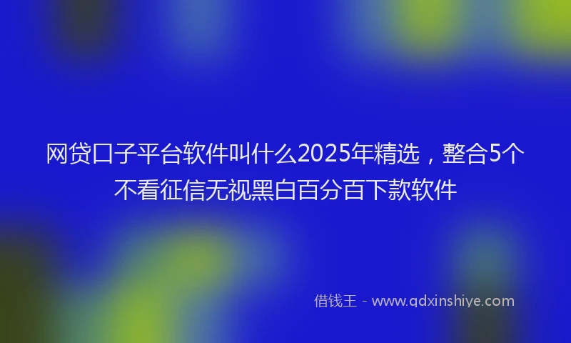 网贷口子平台软件叫什么2025年精选，整合5个不看征信无视黑白百分百下款软件