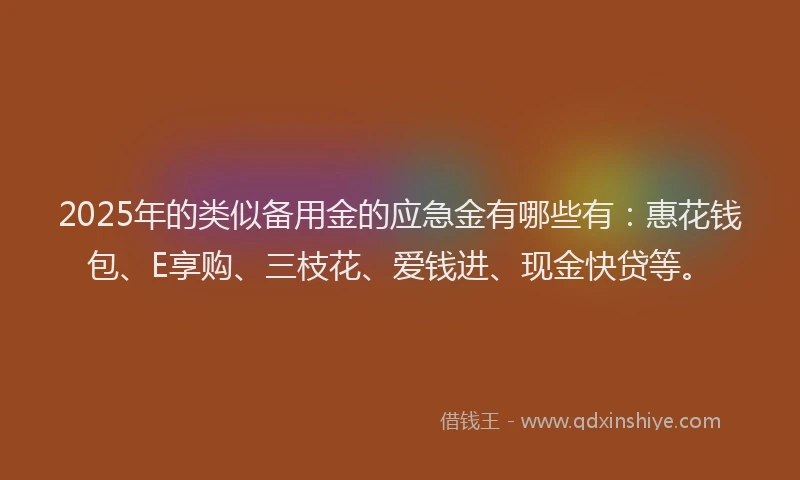 2025年的类似备用金的应急金有哪些有：惠花钱包、E享购、三枝花、爱钱进、现金快贷等。