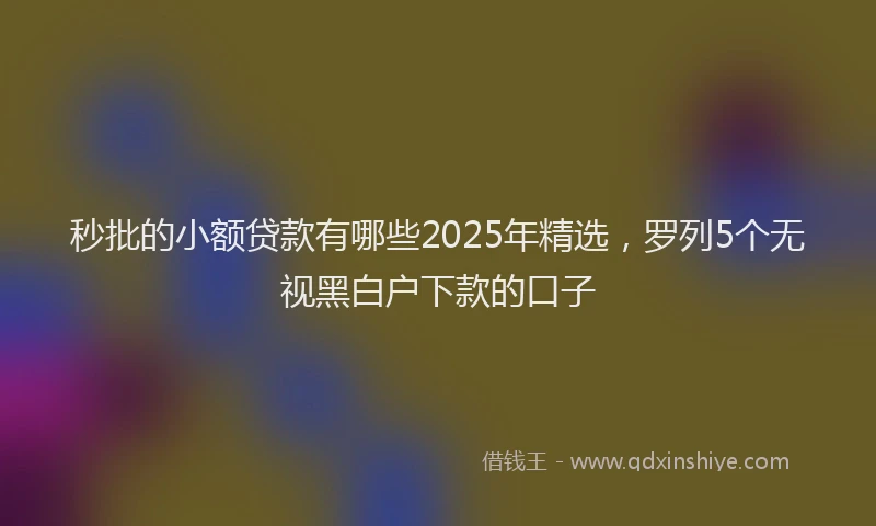 秒批的小额贷款有哪些2025年精选，罗列5个无视黑白户下款的口子